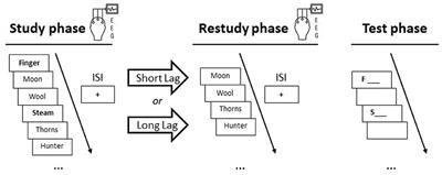 Oscillatory Correlates of Selective Restudy